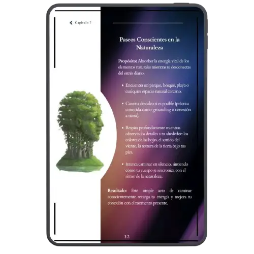 0.-Mockup-Libro-Por-Dentro-6-1